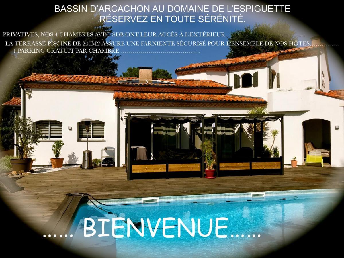 Domaine De L'Espiguette Bed and Breakfast Biganos Exterior foto